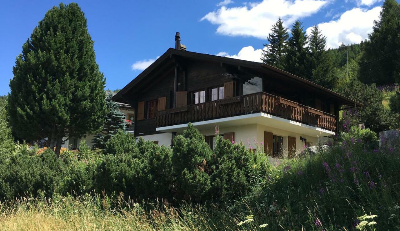 Ferienwohnung Im Chalet Firn - Og برخن المظهر الخارجي الصورة