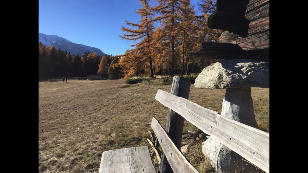 Ferienwohnung Im Chalet Firn - Og برخن المظهر الخارجي الصورة