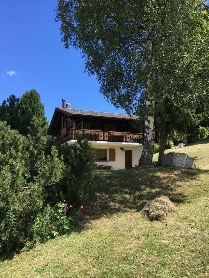 Ferienwohnung Im Chalet Firn - Og برخن المظهر الخارجي الصورة